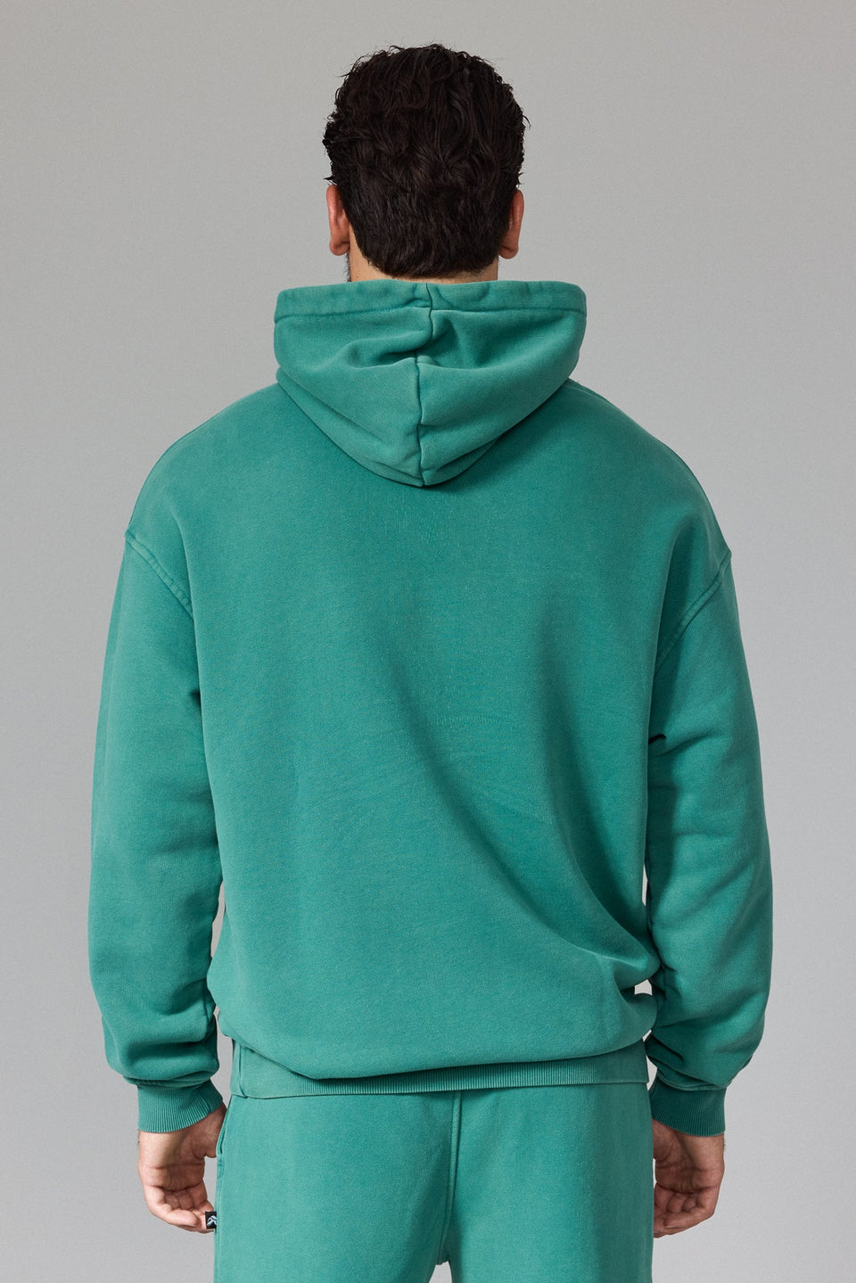Illyrian Serpent Hoodie - Washed Green